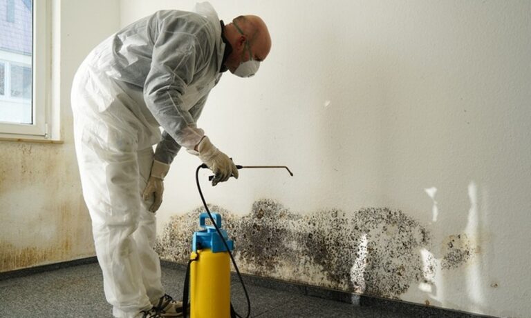 What Happens If You Ignore Mold in Your Home?